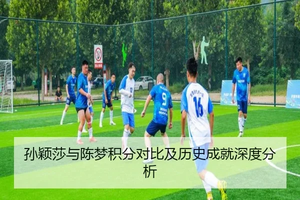 孙颖莎与陈梦积分对比及历史成就深度分析