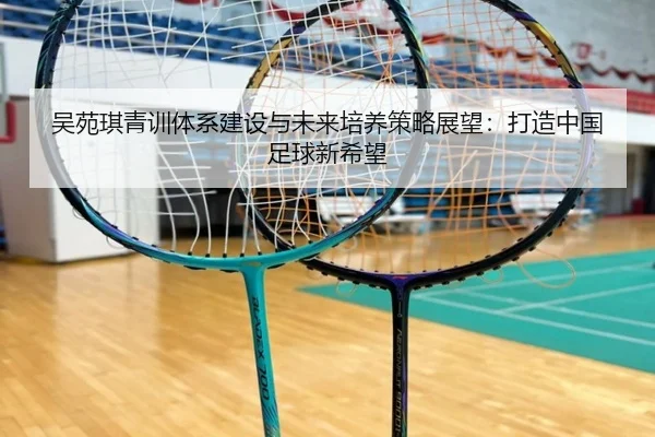 吴苑琪青训体系建设与未来培养策略展望：打造中国足球新希望